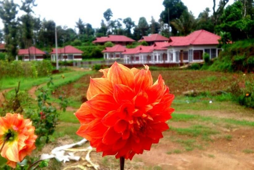 Himani Heritage Resorts, Formerly Camp Nishani Holidays マディケーリ エクステリア 写真